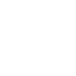DOX-LOGO-WEB-main-negativ-500x500px